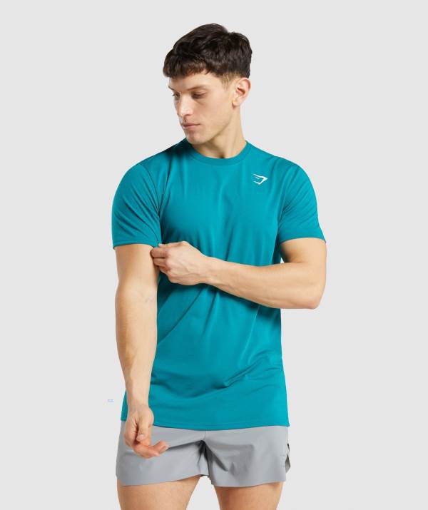 Panske Tricka Gymshark Sports Tyrkysové | EV2965104